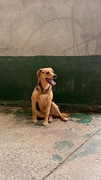 GUS Image 4
